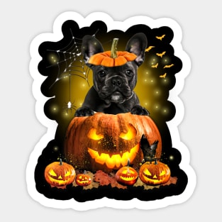 Black French Bulldog  Spooky Halloween Pumpkin Dog Head Sticker